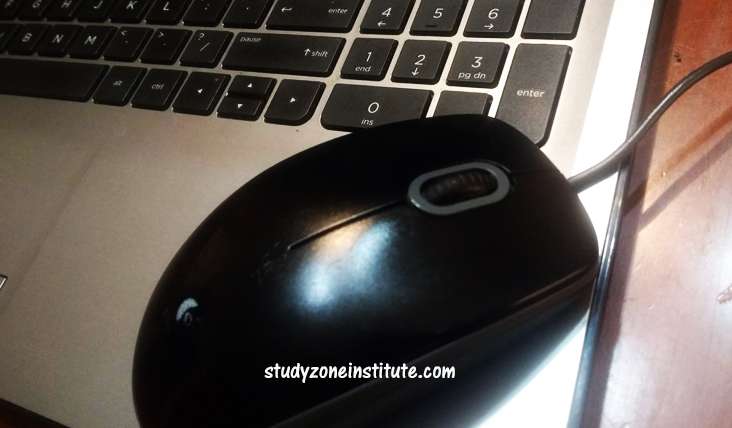 Mouse. Mon in school uses computer.