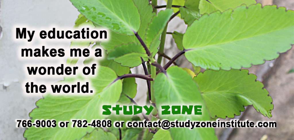 Memory development. Subjects. Disciplined student. Tech in the classroom.