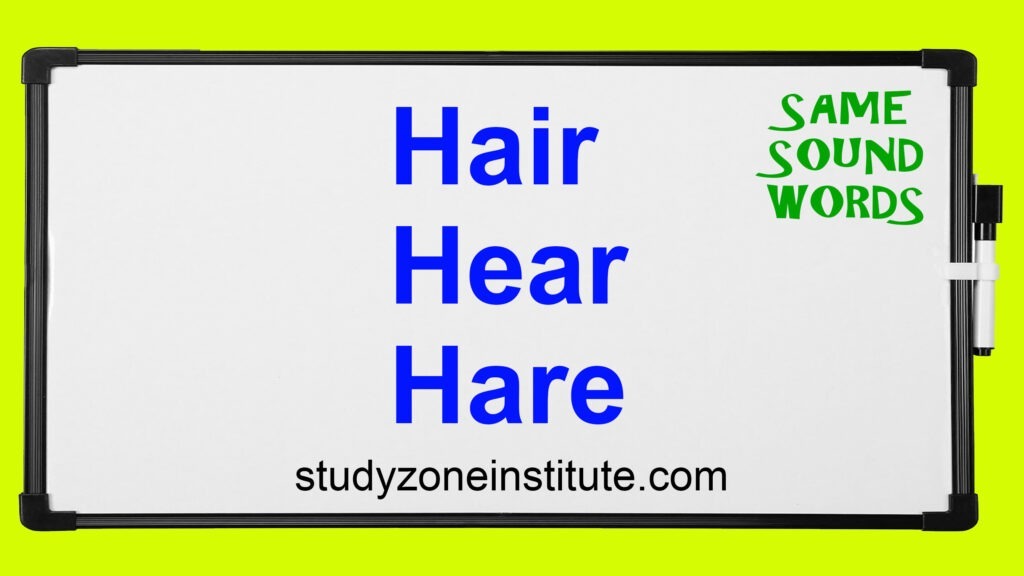 Hair Here Hare