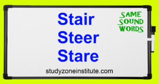 Stair Steer Stare