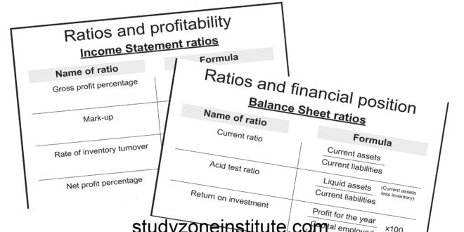 Accounting Ratios Guide and Poster Study Zone