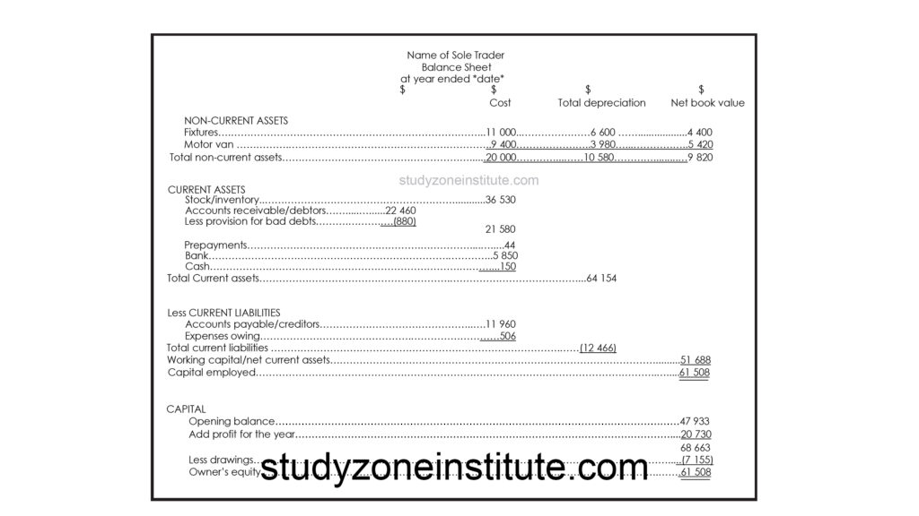 Balance Sheet Format