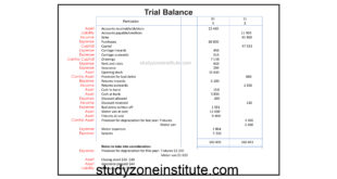 Trial Balance Meaning Posters and Guide Study Zone