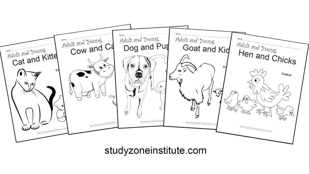 Adult and young worksheets