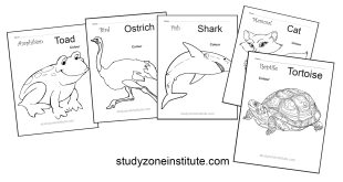 Animal groups worksheets