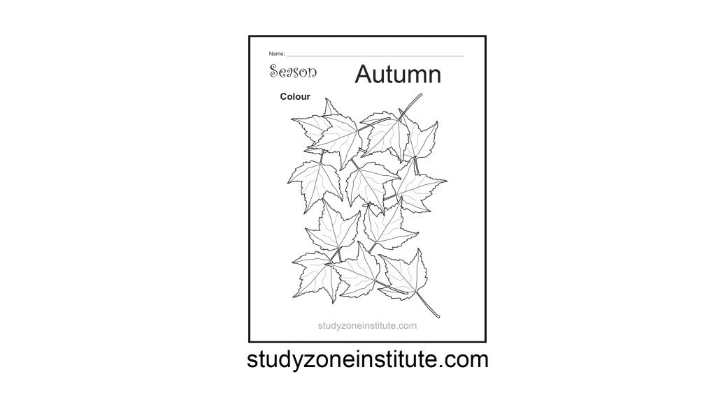 Autumn Season Worksheet
