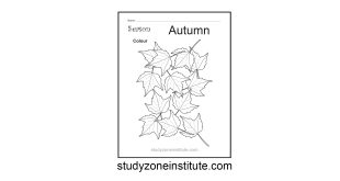 Autumn Season Worksheet