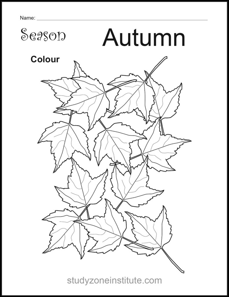 Autumn Season Worksheet