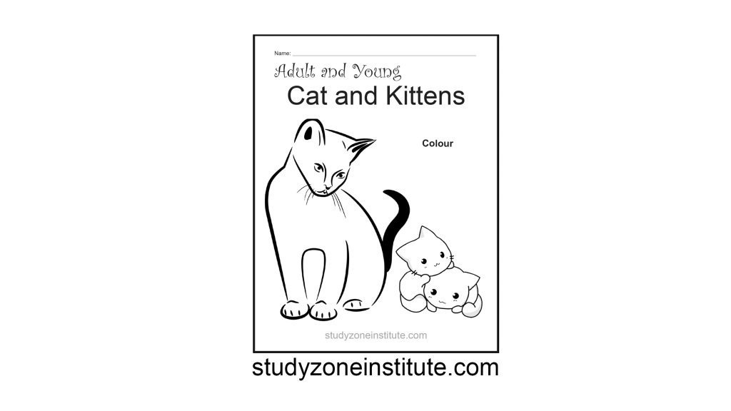 Cat and Kitten worksheet