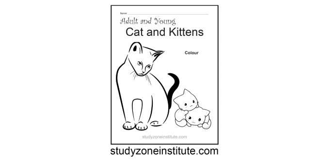 Cat and Kitten worksheet
