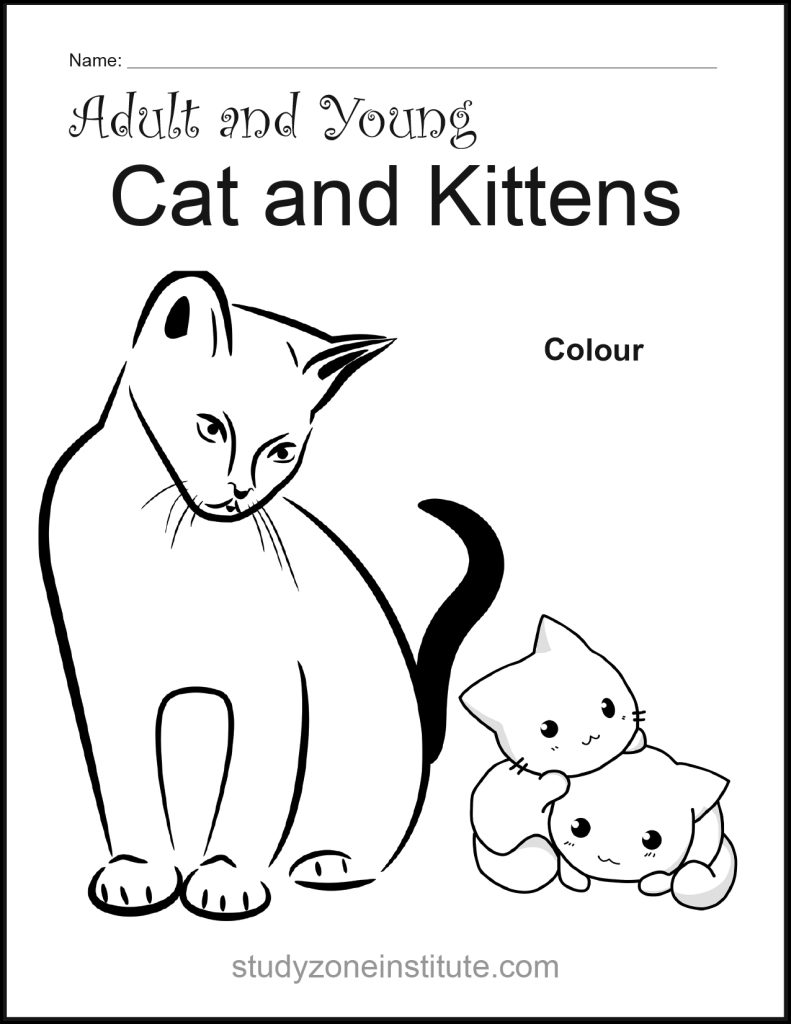 Cat and Kitten