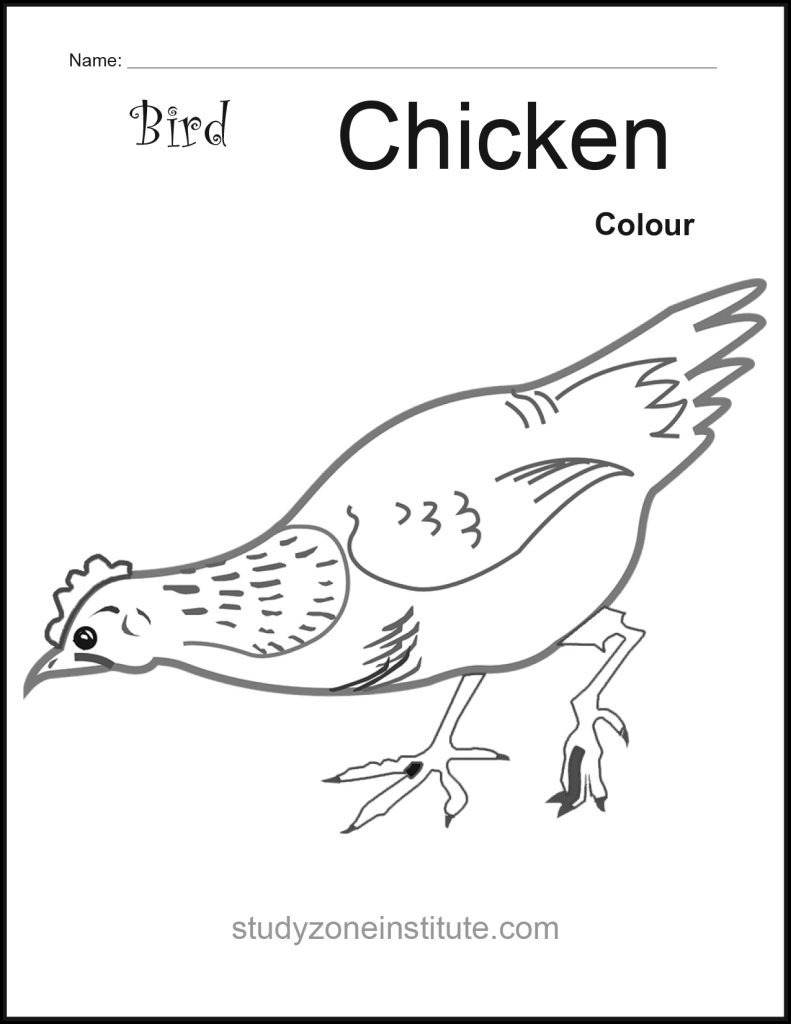 Chicken the Bird worksheet