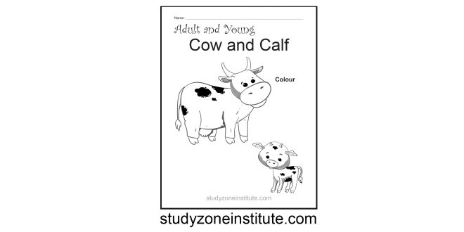 Cow and Calf worksheet