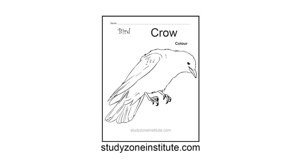 Crow Bird worksheet