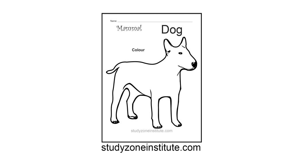 Dog Mammal Worksheet
