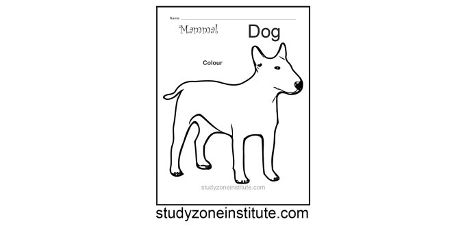 Dog Mammal Worksheet