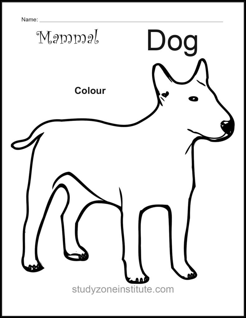 Dog Mammal Worksheet
