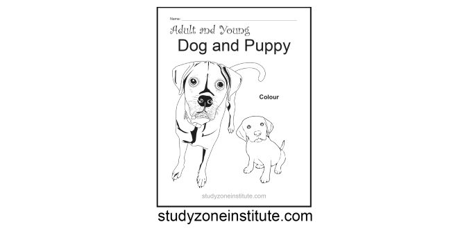 Dog and Puppy worksheet