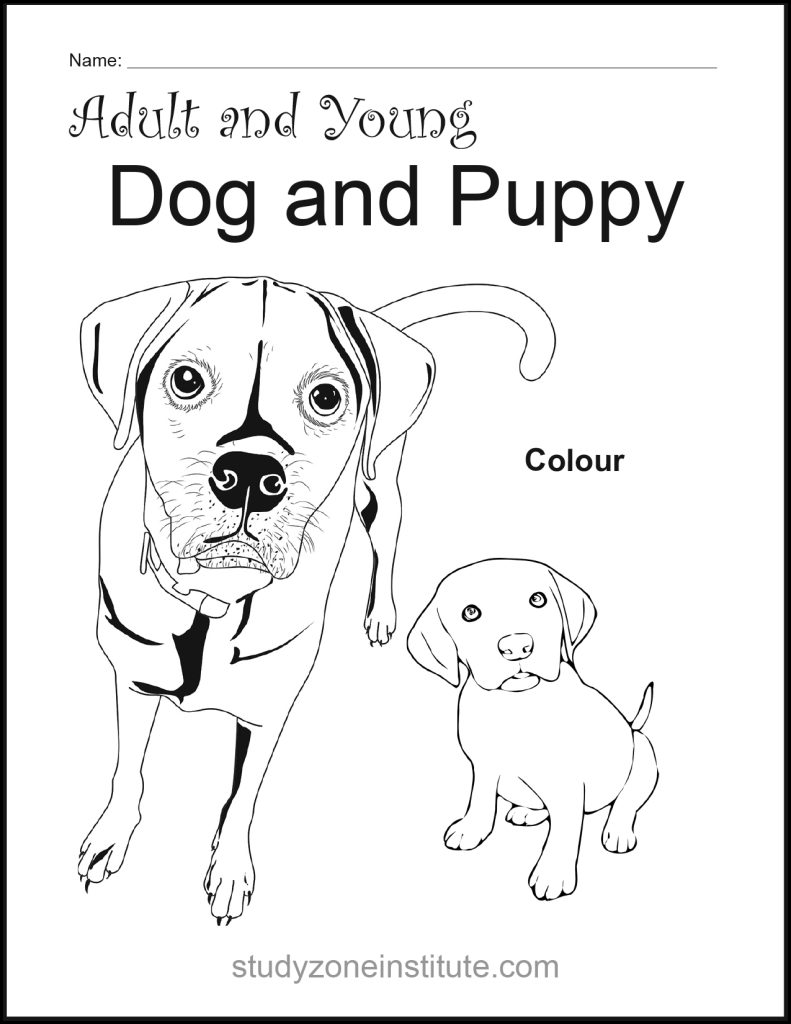 Dog and Puppy