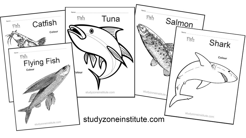 Fish worksheets