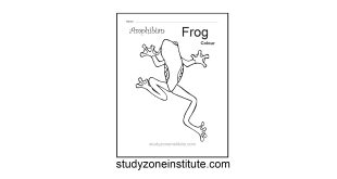 Frog the Amphibian worksheet