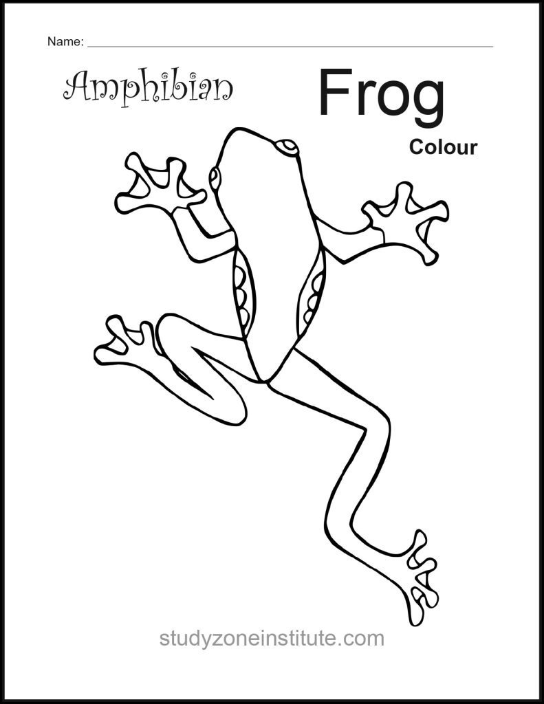Frog the Amphibian worksheet