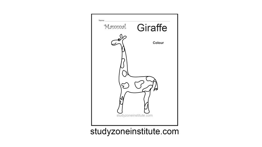 Giraffe Mammal Worksheet