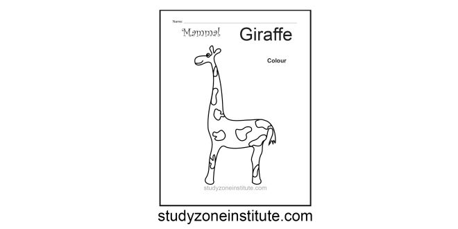 Giraffe Mammal Worksheet