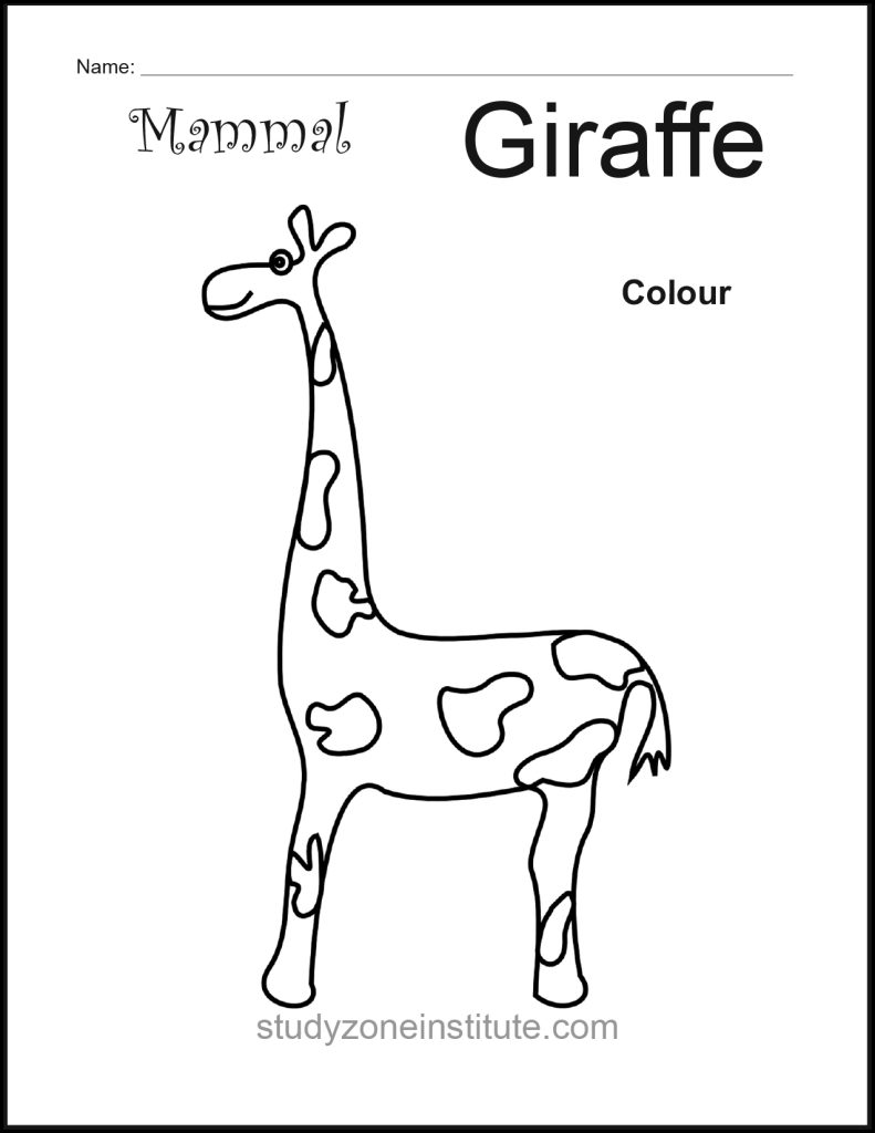 Giraffe Mammal Worksheet