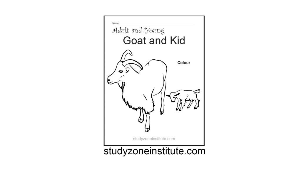Goat and Kid worksheet
