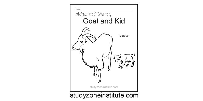 Goat and Kid worksheet