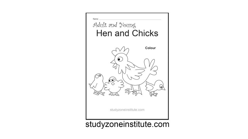 Hen and Chicks worksheet