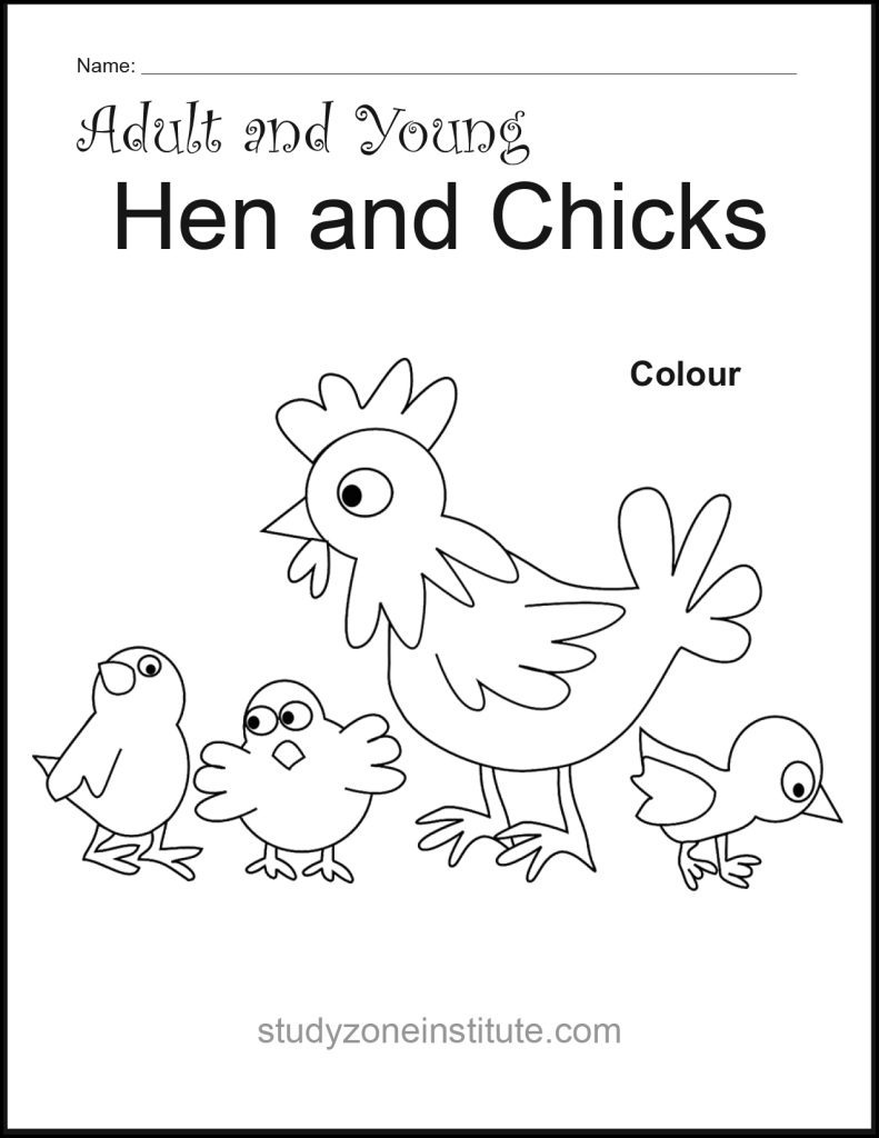 Hen and Chicks worksheet