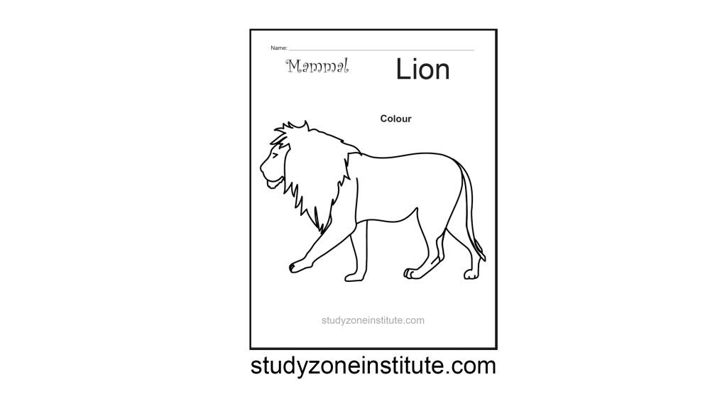 Lion Mammal Worksheet