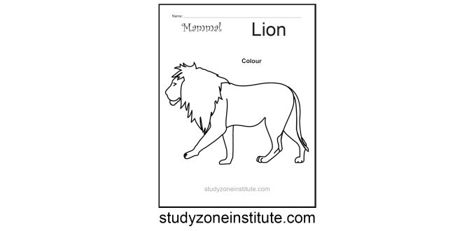 Lion Mammal Worksheet