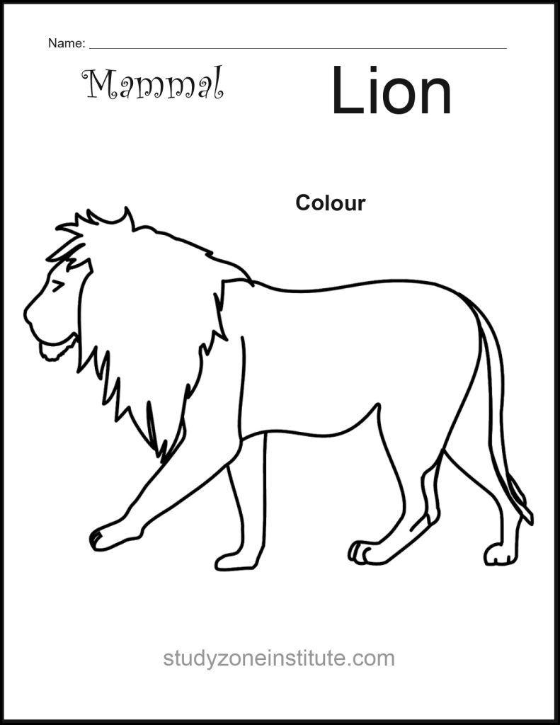 Lion Mammal Worksheet