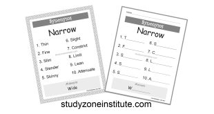 Narrow Synonyms
