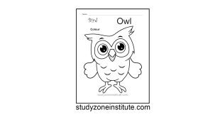 Owl Bird Worksheet