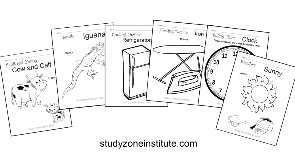Science and technology worksheets