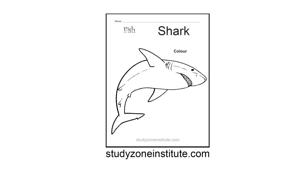 Shark Fish Worksheet