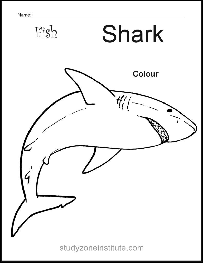 Shark Fish Worksheet