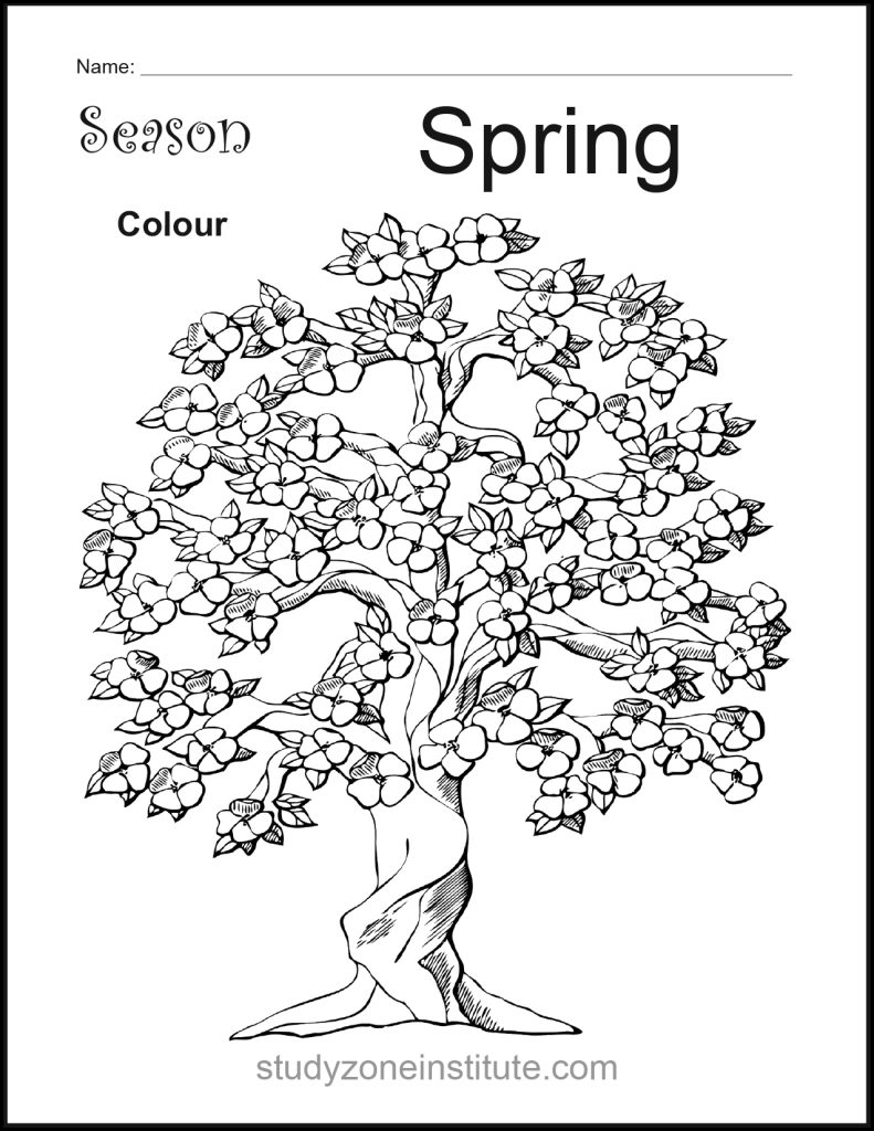 Spring Season Worksheet