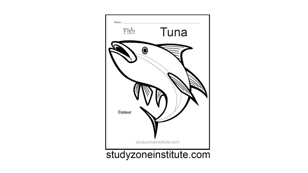 Tuna Fish Worksheet