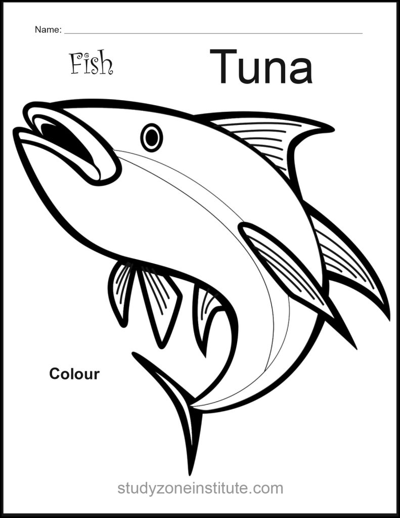 Tuna Fish Worksheet