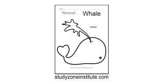 Whale Mammal Worksheet