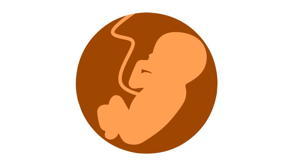 Abortion - Understanding a Sensitive Topic