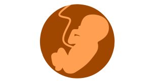Abortion - Understanding a Sensitive Topic