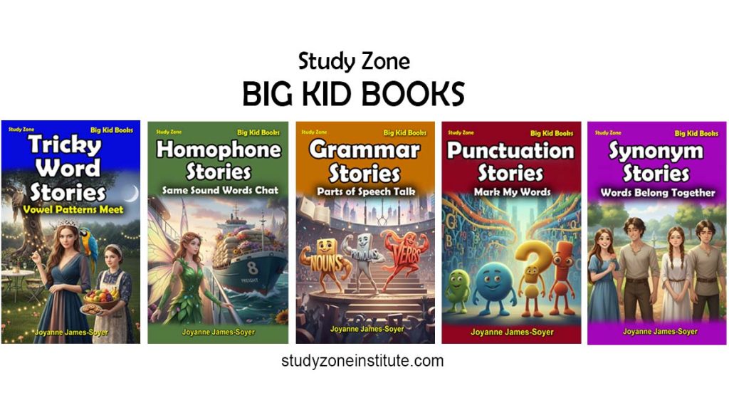 Study Zone Big Kid Books series: Why story-based learning beats boring rules.